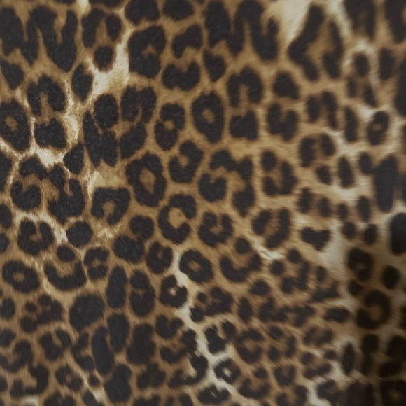 Express Leopard Print Top in Brown and Black - Picture 7 of 12